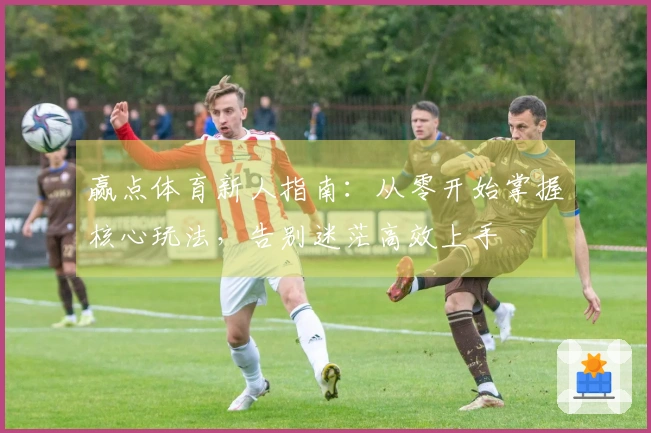赢点体育新人指南：从零开始掌握核心玩法，告别迷茫高效上手